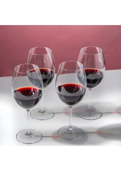 5191916 Julie 4lü 610ML Bordeaux Bardak Seti