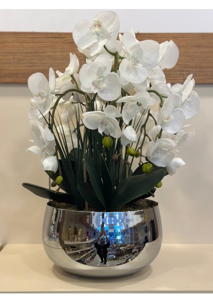 Büyükboy Pirinç Saksı Islak Orkide