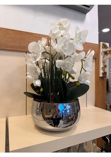 Büyükboy Pirinç Saksı Islak Orkide fiyatları