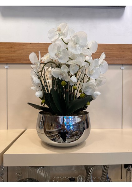 Büyükboy Pirinç Saksı Islak Orkide modelleri