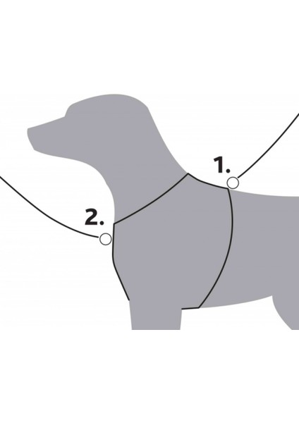 Köpek Premium Göğüs Tasması L:75 - 95 cm 25 mm Mavi 12 modelleri