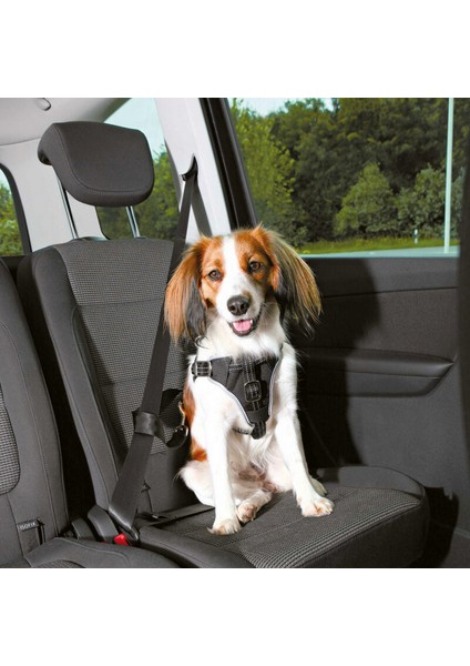 Köpek Emniyet Kemeri ve Göğüs Tasması 40 x 55 cm 17 mm Siyah S - M 12 fiyatları