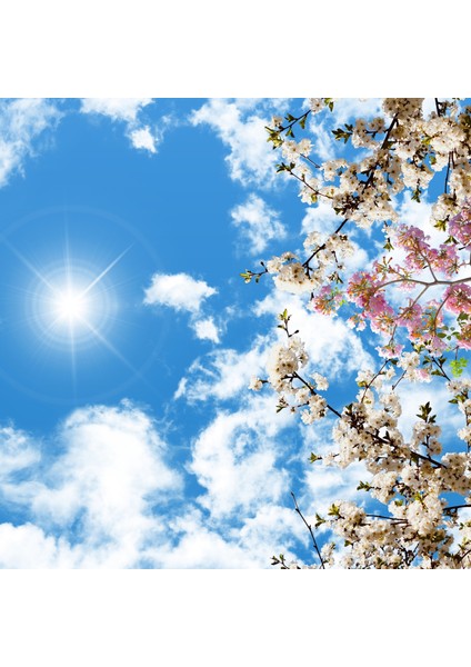 60 x 60 LED Panel Aydınlatma Desenli 3x3 9'lu Grup 46510460SA