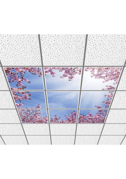 60 x 60 LED Panel Aydınlatma Desenli 3x3 9'lu Grup 46510281SA fiyatları