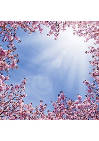 60 x 60 LED Panel Aydınlatma Desenli 3x3 9'lu Grup 46510281SA fırsatları