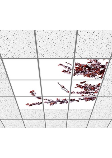 60 x 60 LED Panel Aydınlatma Desenli 3x3 9'lu Grup 46510772SA fiyatları