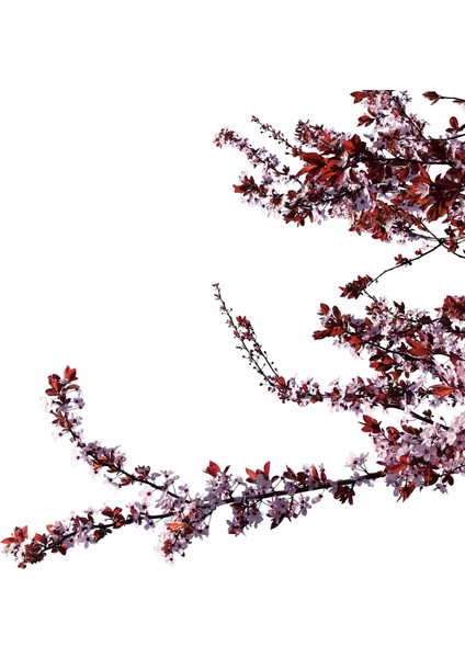 60 x 60 LED Panel Aydınlatma Desenli 3x3 9'lu Grup 46510772SA fırsatları