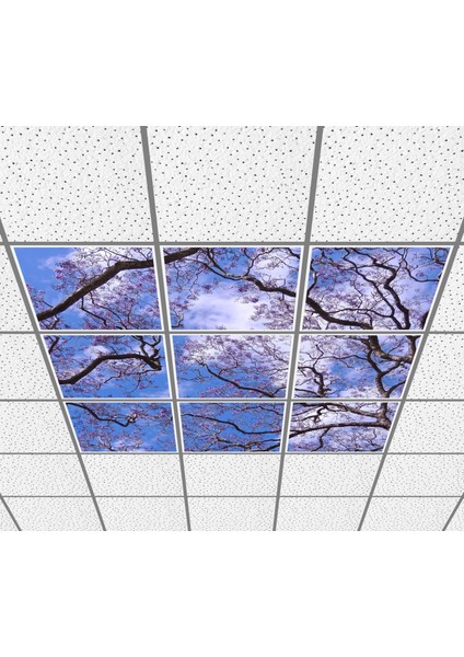 60 x 60 LED Panel Aydınlatma Desenli 3x3 9'lu Grup 46510803SA fiyatları