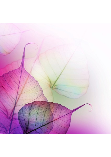 60 x 60 LED Panel Aydınlatma Desenli 3x3 9'lu Grup 46510036SA fırsatları