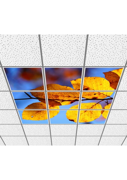 60 x 60 LED Panel Aydınlatma Desenli 3x3 9'lu Grup 46510275SA fiyatları