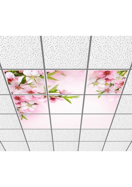 60 x 60 LED Panel Aydınlatma Desenli 3x3 9'lu Grup 46510654SA fiyatları