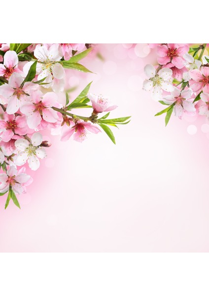 60 x 60 LED Panel Aydınlatma Desenli 3x3 9'lu Grup 46510654SA fırsatları