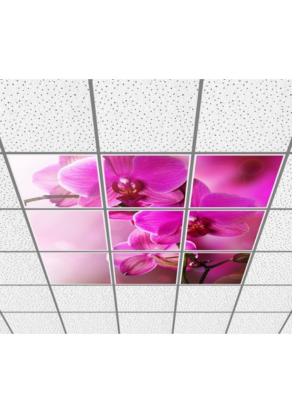 60 x 60 LED Panel Aydınlatma Desenli 3x3 9'lu Grup 46510145SA fiyatları