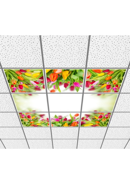 60 x 60 LED Panel Aydınlatma Desenli 3x3 9'lu Grup 46510246SA