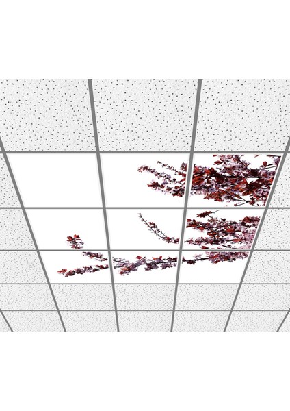 60 x 60 LED Panel Aydınlatma Desenli 3x3 9'lu Grup 46510179SA fiyatları