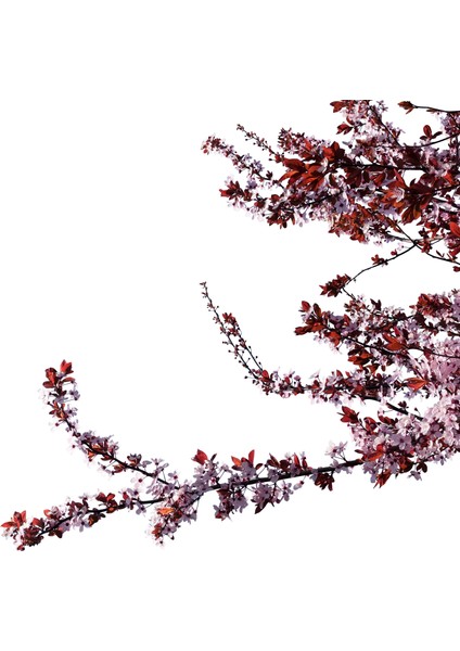 60 x 60 LED Panel Aydınlatma Desenli 3x3 9'lu Grup 46510179SA fırsatları