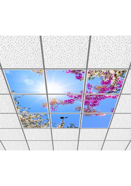 60 x 60 LED Panel Aydınlatma Desenli 3x3 9'lu Grup 46510317SA