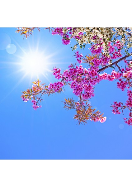 60 x 60 LED Panel Aydınlatma Desenli 3x3 9'lu Grup 46510296SA fırsatları