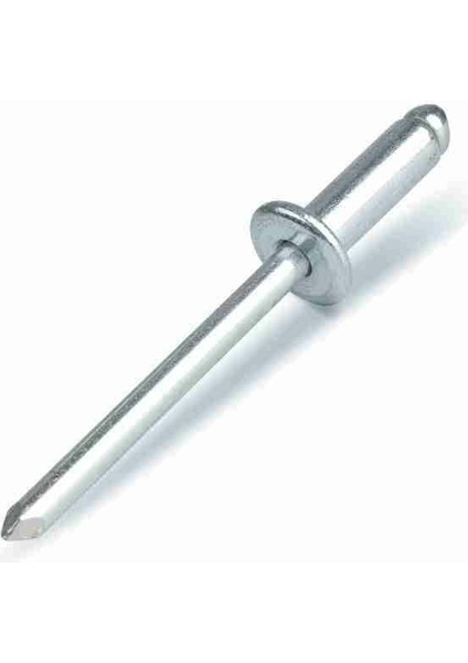Paslanmaz Çelik Inox Pop Perçin 4x6 mm - 1000 Adet