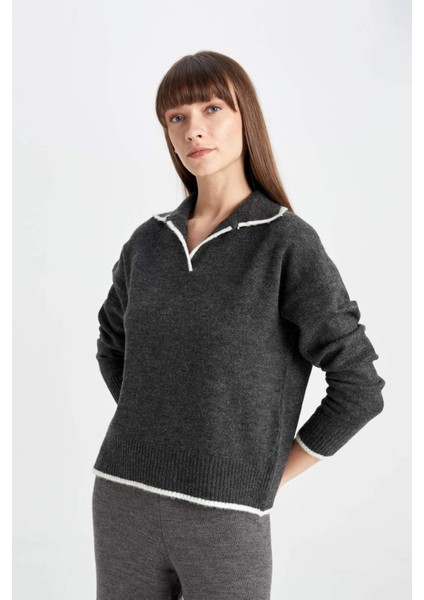 Regular Fit Yumuşak Dokulu Polo Yaka Triko Kazak A3868AX24WN fırsatları