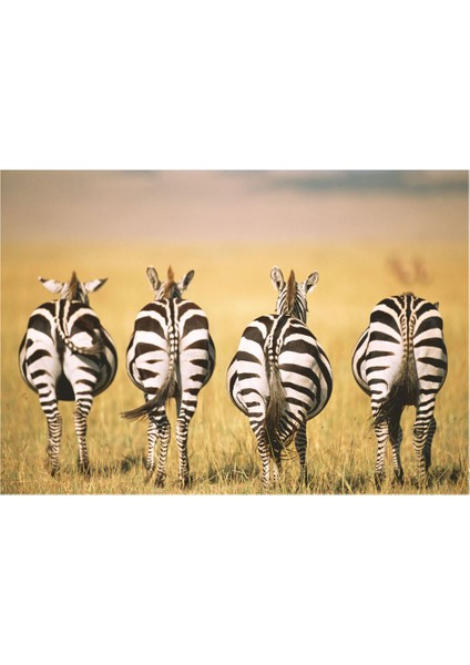 300 Parça Puzzle Zebra 133123