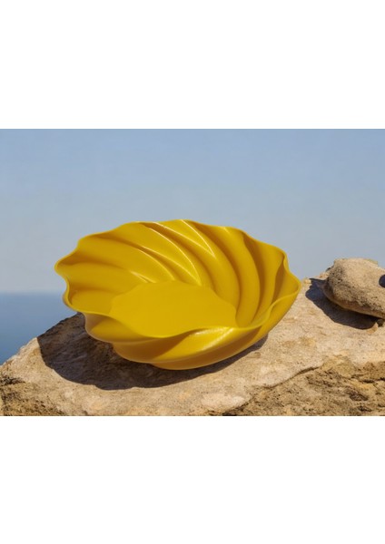 Kabuk Sunumluk Kase Tasarım 3D modelleri