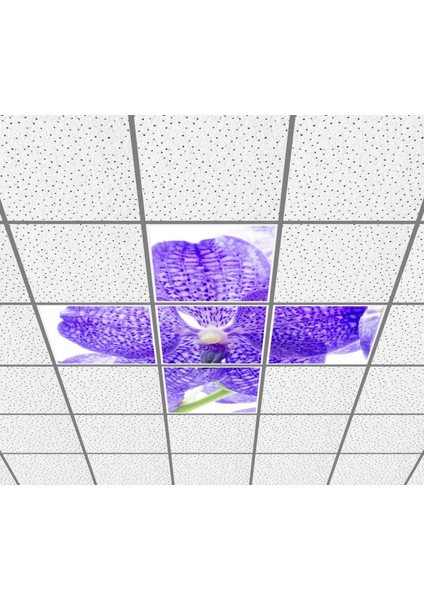 60X60 LED Panel Aydınlatma Desenli 3x3 5 Li Grup Özel Seri 46511430SA fiyatları