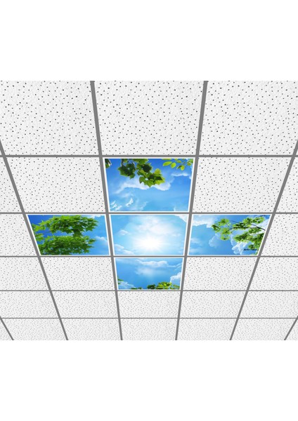 60 x 60 LED Panel Aydınlatma Desenli 3x3 5'li Grup Özel Seri 46511436SA