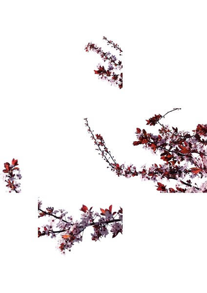 60 x 60 LED Panel Aydınlatma Desenli 3x3 5'li Grup Özel Seri 46511459SA fırsatları