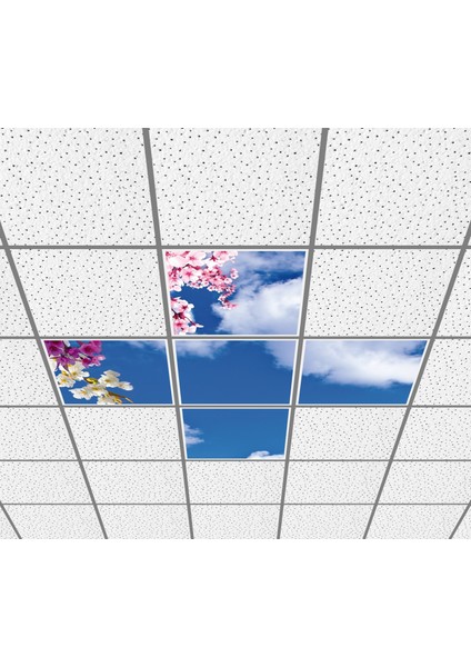 60 x 60 LED Panel Aydınlatma Desenli 3x3 5'li Grup Özel Seri 46511425SA