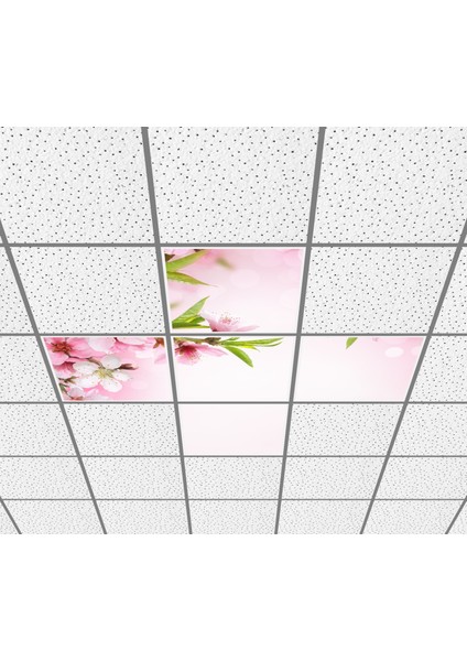 60 x 60 LED Panel Aydınlatma Desenli 3x3 5'li Grup Özel Seri 46511451SA fiyatları