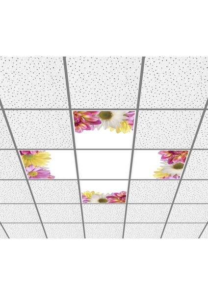 60 x 60 LED Panel Aydınlatma Desenli 3x3 5'li Grup Özel Seri 46511473SA