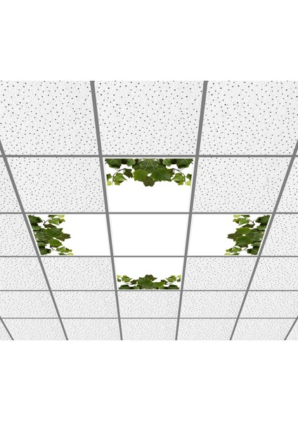 60X60 LED Panel Aydınlatma Desenli 3x3 5 Li Grup Özel Seri 46511478SA