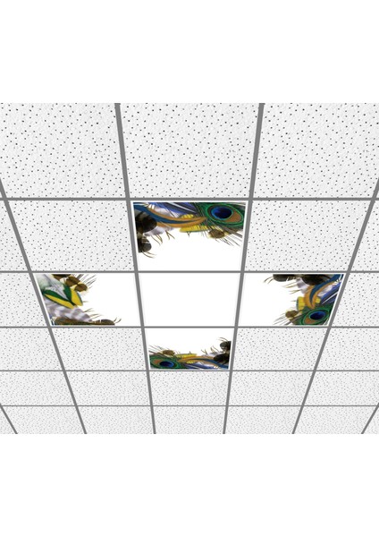 60 x 60 LED Panel Aydınlatma Desenli 3x3 5'li Grup Özel Seri 46511477SA fiyatları