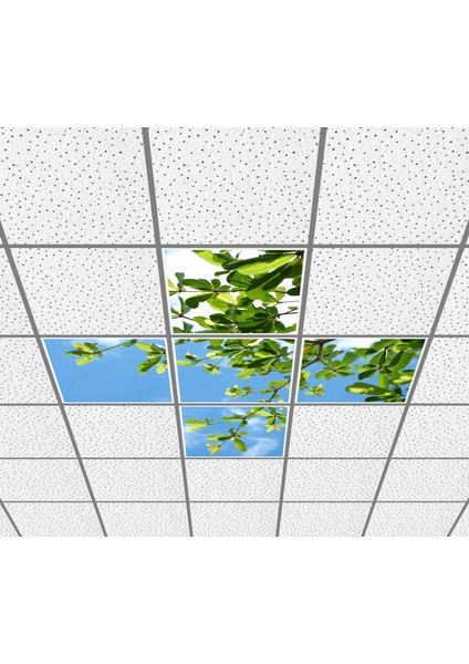 60 x 60 LED Panel Aydınlatma Desenli 3x3 5'li Grup Özel Seri 46511443SA