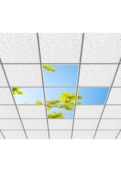 60 x 60 LED Panel Aydınlatma Desenli 3x3 5'li Grup Özel Seri 46511440SA fiyatları