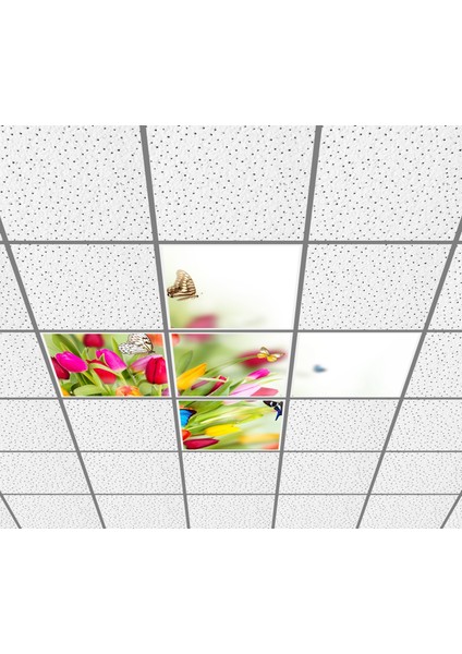 60X60 LED Panel Aydınlatma Desenli 3x3 5 Li Grup Özel Seri 46511428SA