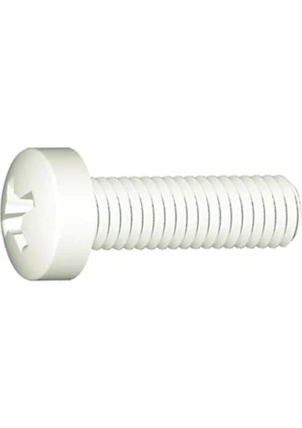 M6x40 Ysb Plastik Vida (25 Adet)