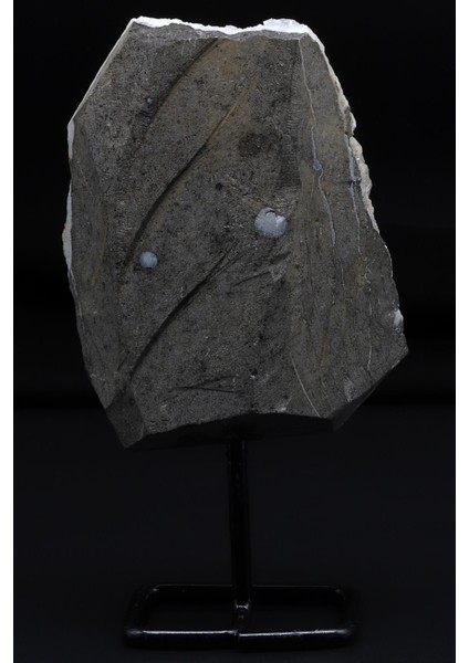 Zeolit Doğal Taş Standlı Ham Parça fiyatları