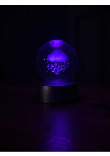 3d Bulut Plastik Altlıklı Işıklı Cam Küre
