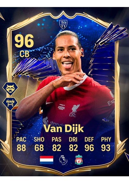 Van Dijk Fut Kart Temalı Poster 30X42 cm Çerçevesiz