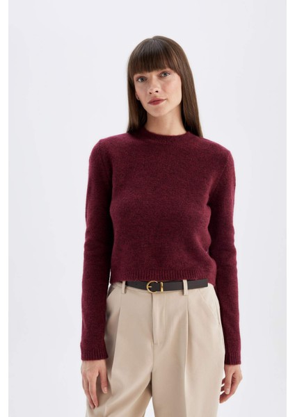 Regular Fit Bisiklet Yaka Premium Basic Düz Crop Triko Kazak C9047AX24WN