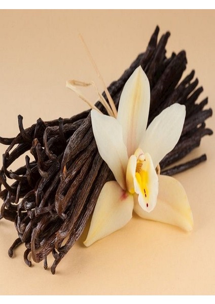 Vanilya Esanslı & Himalaya Vücut Tuzu / Vanilla Essence & Himalayan Salt (500 Gr.)