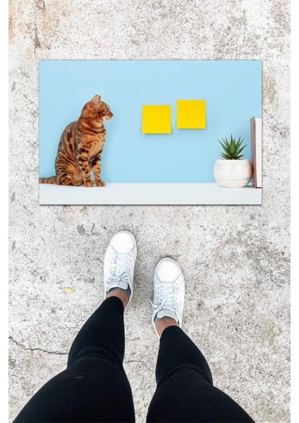 Dijital Baskı Mavi Sarman Kedi Desbdmrkt Kapı Önü Paspası K-1029