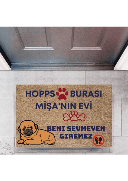 Kapı Önü Paspası Dekoratif Dijital Baskı Hopps P-2475