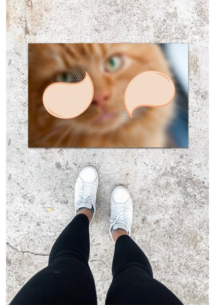 Dijital Baskı Rbdmrktkli Kedili Desbdmrkt Kapı Önü Paspası K-1034