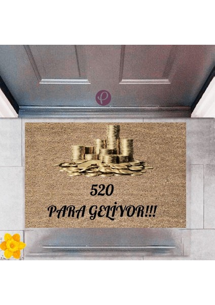 Kapı Önü Paspası Dekoratif Dijital Baskı 520 Para P-2480