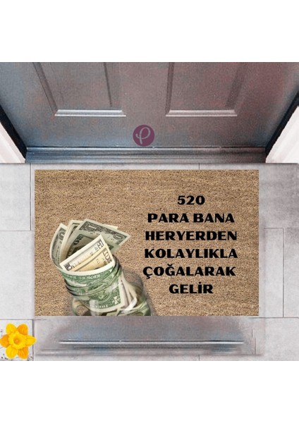 Kapı Önü Paspası Dekoratif Dijital Baskı 520 Para P-2478