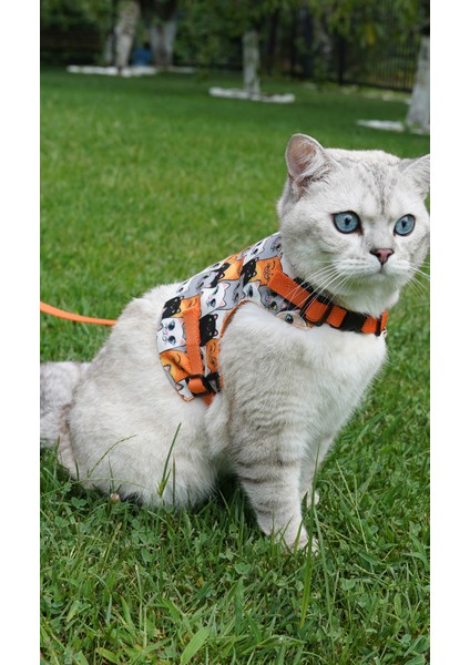 Kaçış Önleyici Kedi Gezdirme Tasması ve Küçük Irk Köpek Gezdirme Tasması fiyatları