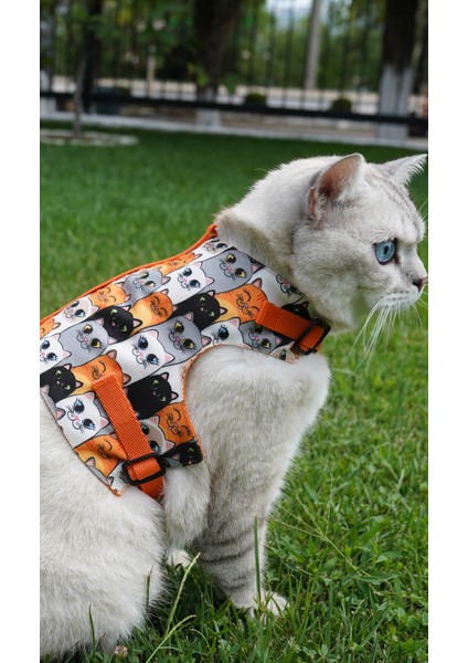 Kaçış Önleyici Kedi Gezdirme Tasması ve Küçük Irk Köpek Gezdirme Tasması fırsatları